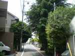 0513 007.jpg