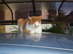 2009112720091127_05.jpg