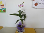 2009_01116月30日0001.JPG