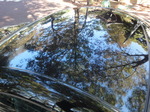 2011_11017月15日0018.JPG