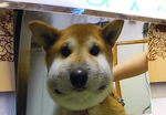 20130912204127.png