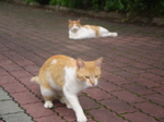 7月1日 015.jpg
