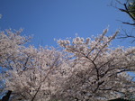 画像 059.jpg