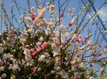 画像 062.jpg