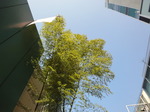 DSC00237.JPG