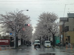 DSC00430.JPG