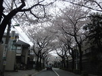 DSC00433.JPG