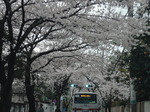 DSC00437.JPG