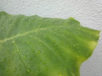 DSC01823.JPG