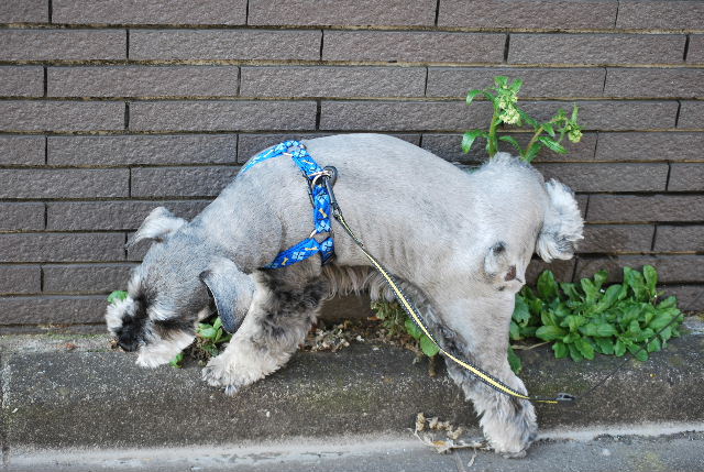 DSC_0001.jpg