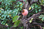 DSC_0003.jpg