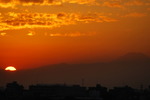 DSC_0010.jpg