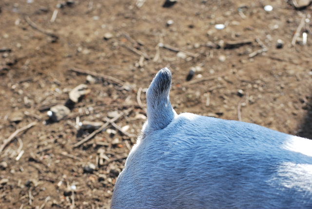 DSC_0014.jpg