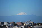 DSC_0015.jpg