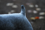 DSC_0018.jpg