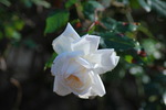 DSC_0025.jpg