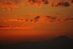 DSC_0034.jpg