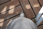 DSC_00d20.jpg