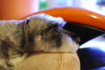 DSC_00d36.jpg