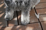 DSC_00g21.jpg