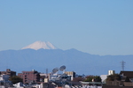 DSC_0102.jpg