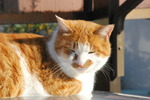 DSC_0802.jpg