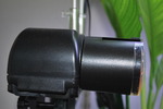 DSC_1006.jpg