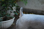 DSC_1059.jpg