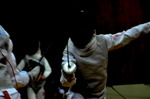 DSC_1393.jpg