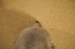 DSC_1603.jpg
