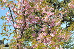 DSC_1629.jpg