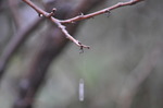 DSC_1673.jpg