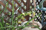 DSC_1704.jpg