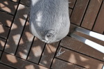 DSC_1720.jpg