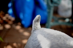 DSC_1724.jpg