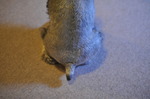 DSC_1783.jpg