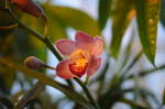 DSC_2067.jpg