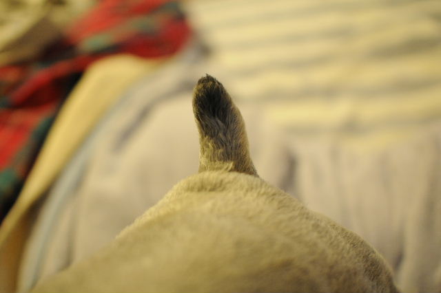 DSC_4706.jpg