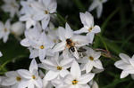 DSC_5057.jpg