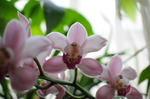 DSC_5064.jpg