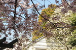 DSC_5111.jpg