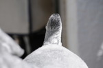 DSC_5187.jpg