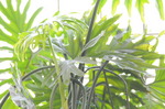 DSC_5230.jpg