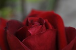DSC_5375.jpg