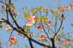 DSC_5384.jpg