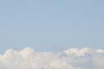 DSC_5393.jpg