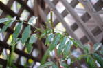 DSC_6761.jpg