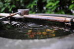 DSC_7602.jpg