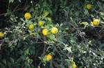 DSC_8773.jpg
