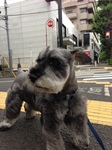 ユニクロの角.jpg